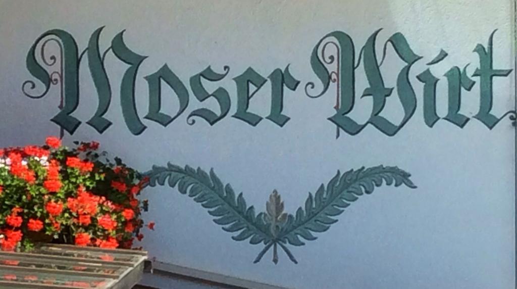 Hotel Moserhof 3*